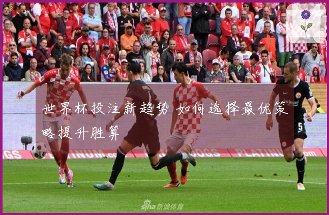 世界杯投注新趋势 如何选择最优策略提升胜算