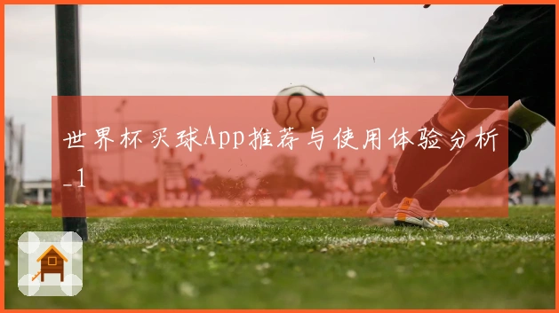 世界杯买球App推荐与使用体验分析_1