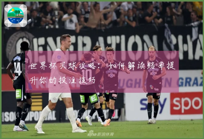 世界杯买球攻略：如何解读赔率提升你的投注技巧