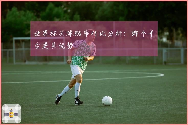 世界杯买球赔率对比分析：哪个平台更具优势