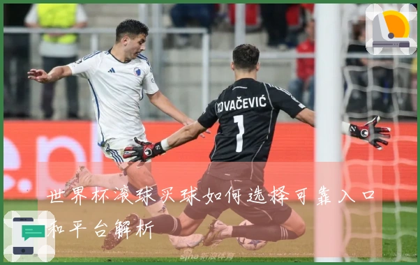 世界杯滚球买球如何选择可靠入口和平台解析